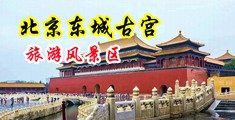 夹着鸡巴猛操视频中国北京-东城古宫旅游风景区